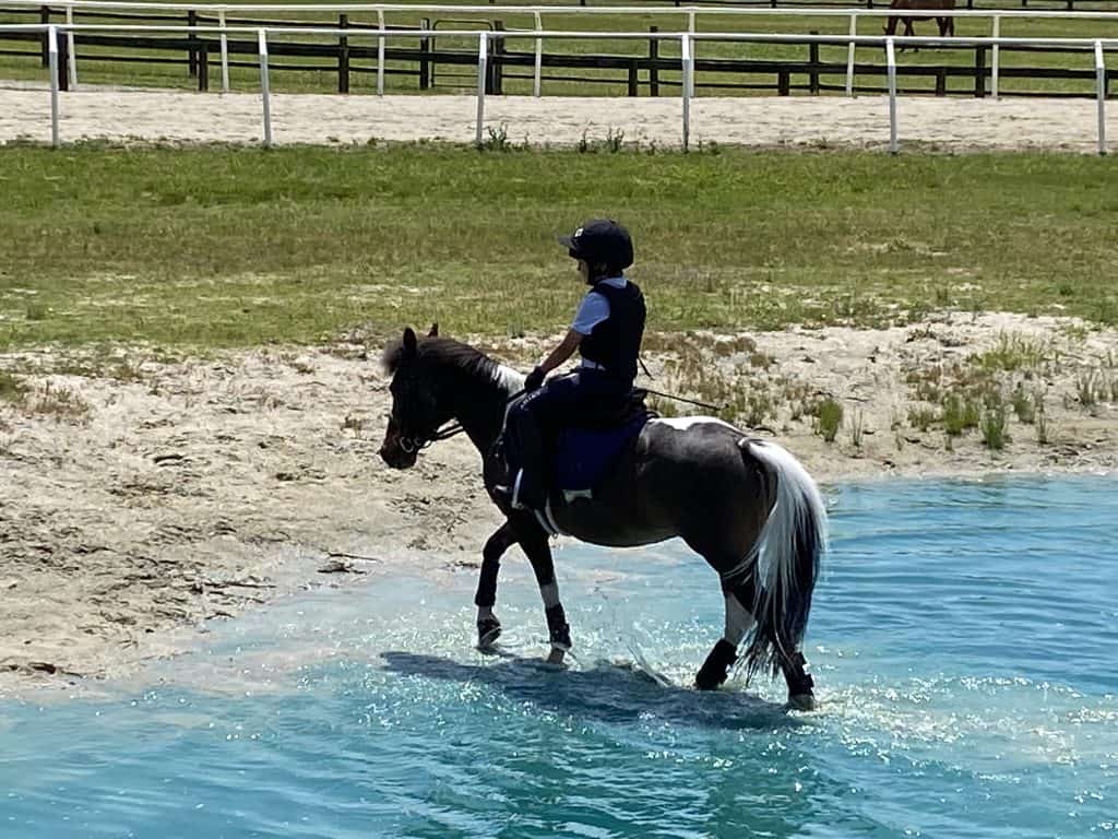 Young child riding a pony through water in an arena.