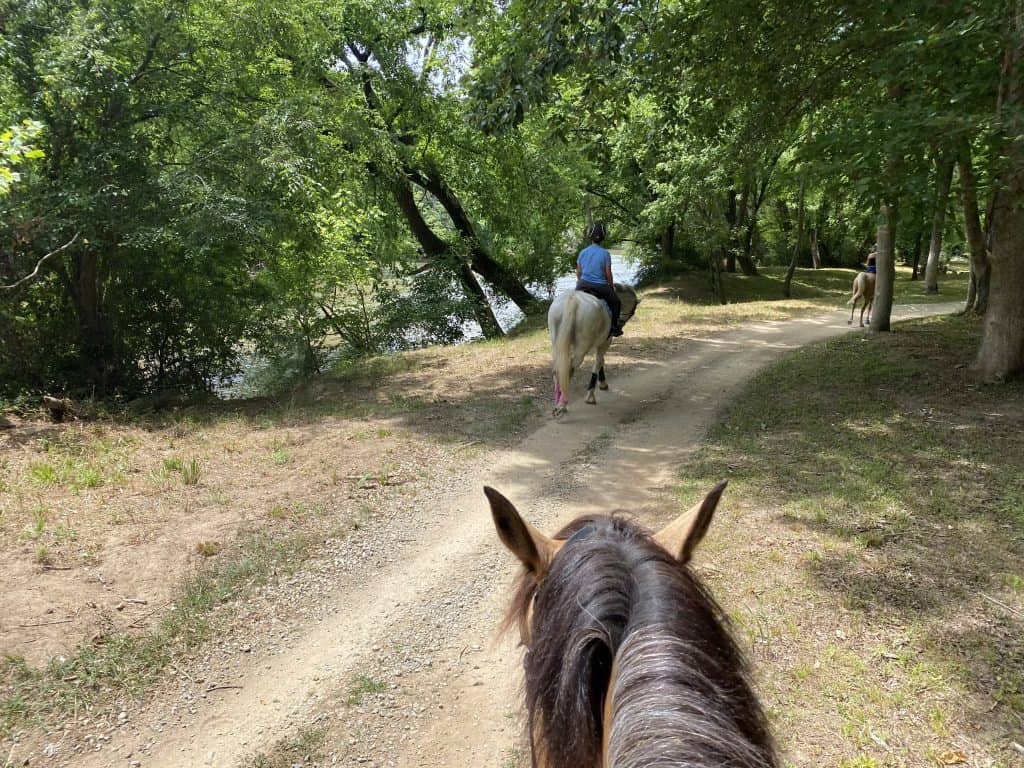 View from on top of a horse, looking at a trail with two riders and horses in front, outside surrounded by trees next to water.