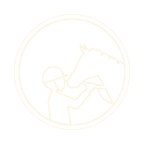horse trainer icon