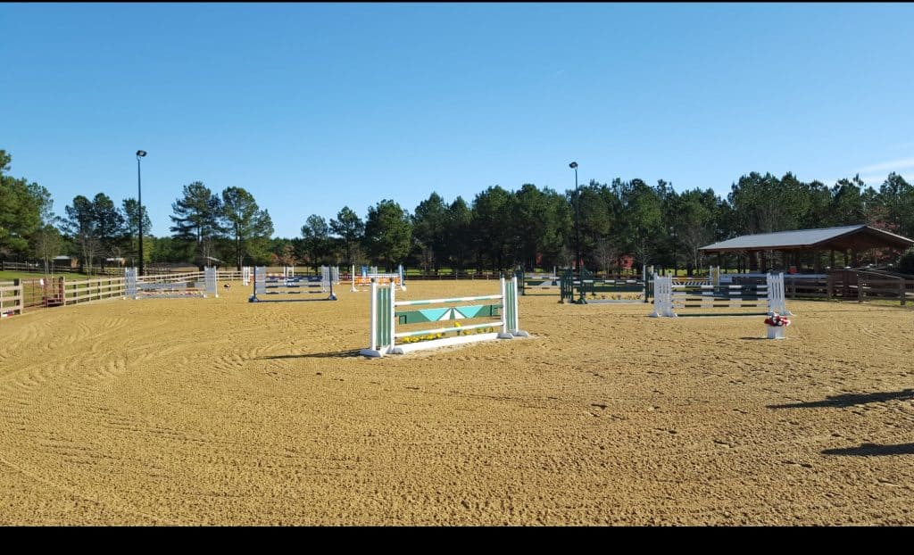 Outdoor horse stadium ring set with jumps, surrounded by trees and blue sky.